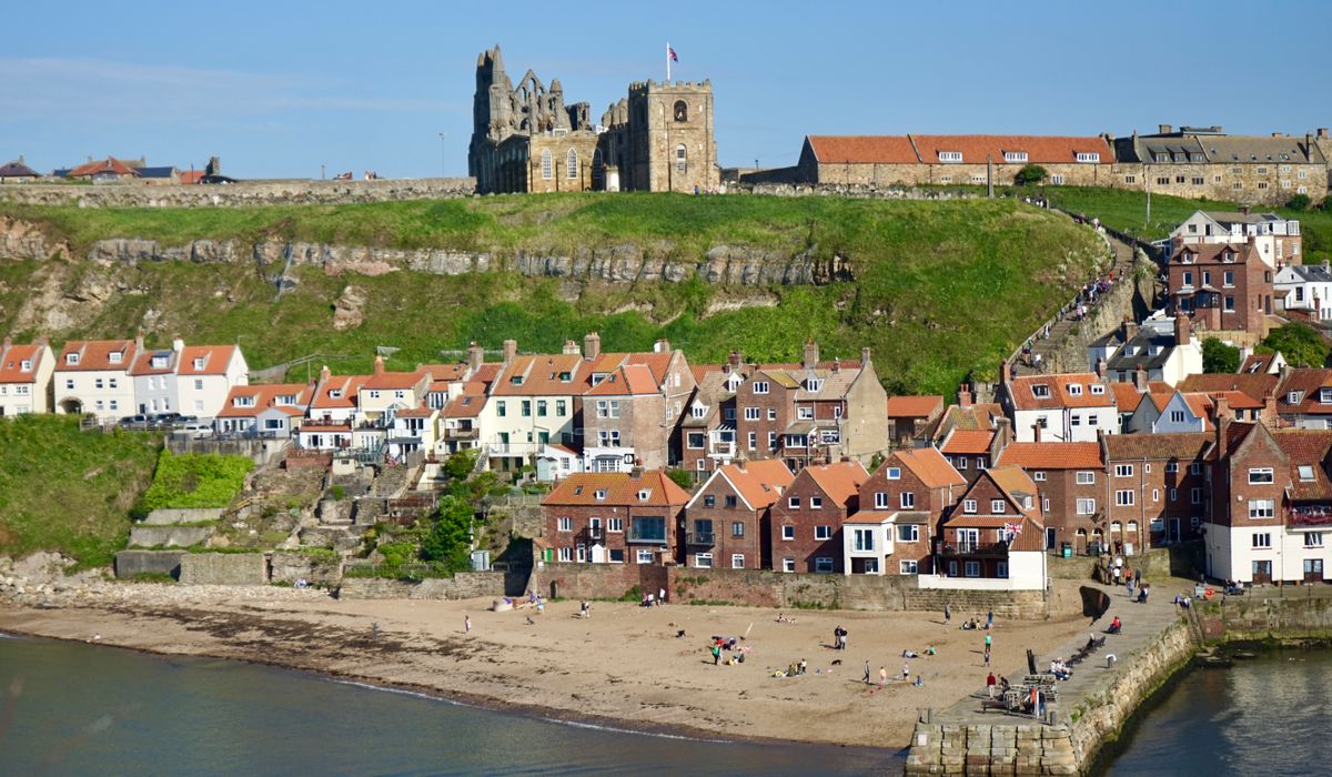 Identifying Common Seabirds Along the Coast