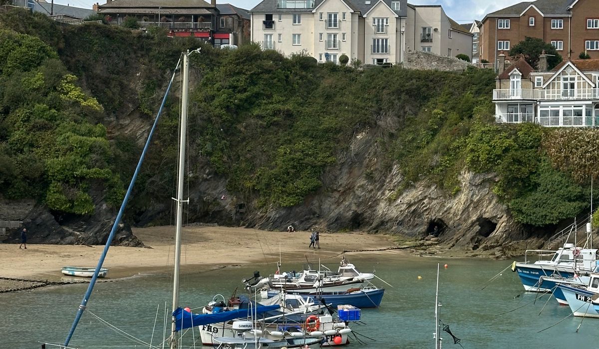 Rock Pooling with Children on Rocky Shores